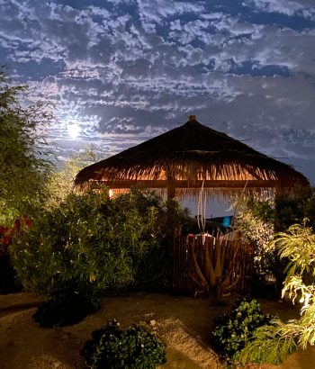 Desert-Oasis-Tub-in-the-Moonlight Desert Oasis Tub in the Moonlight