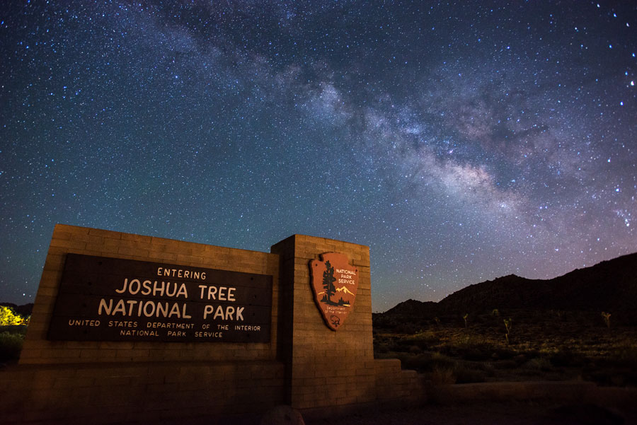 Night Sky Joshua Tree