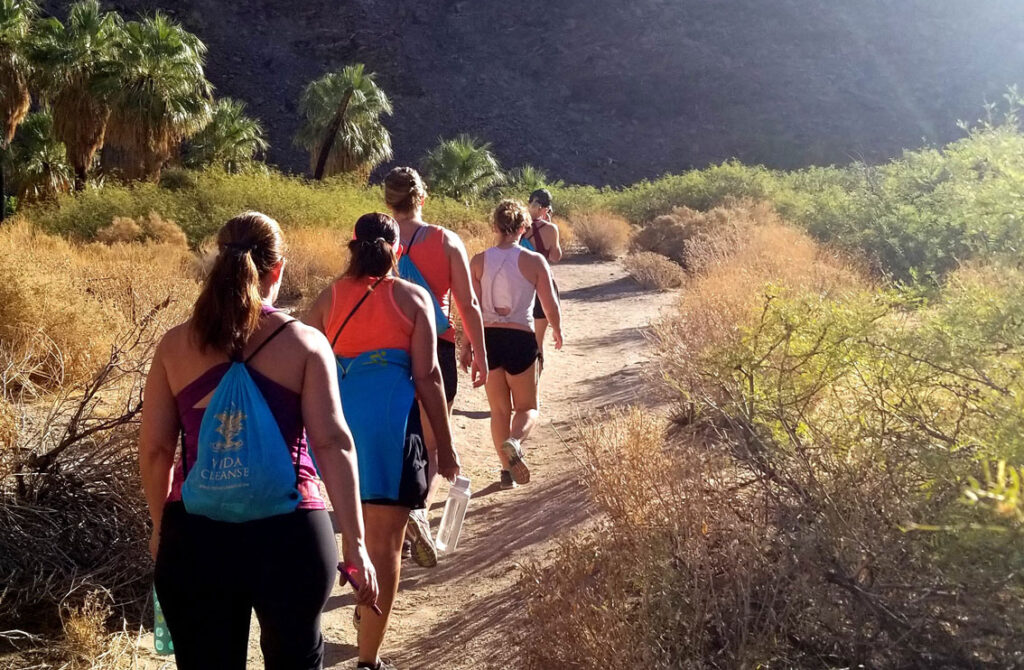 Hiking in the Desert