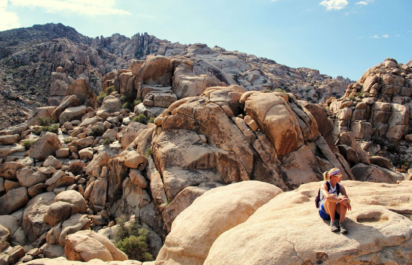 Joshua Tree, The Desert