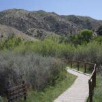Big Morongo Canyon Preserve
